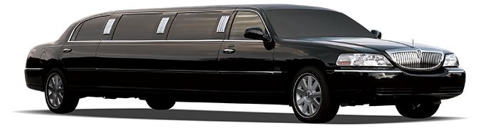 Ведущий на свадьбу недорого